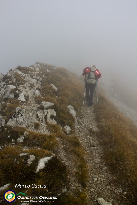 01_Partenza sulla cermenati nella nebbia.JPG